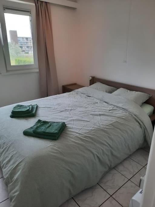 Spacieux Duplex Pres De La Mer 4 Chambres 2 Sdb De Haan Bagian luar foto
